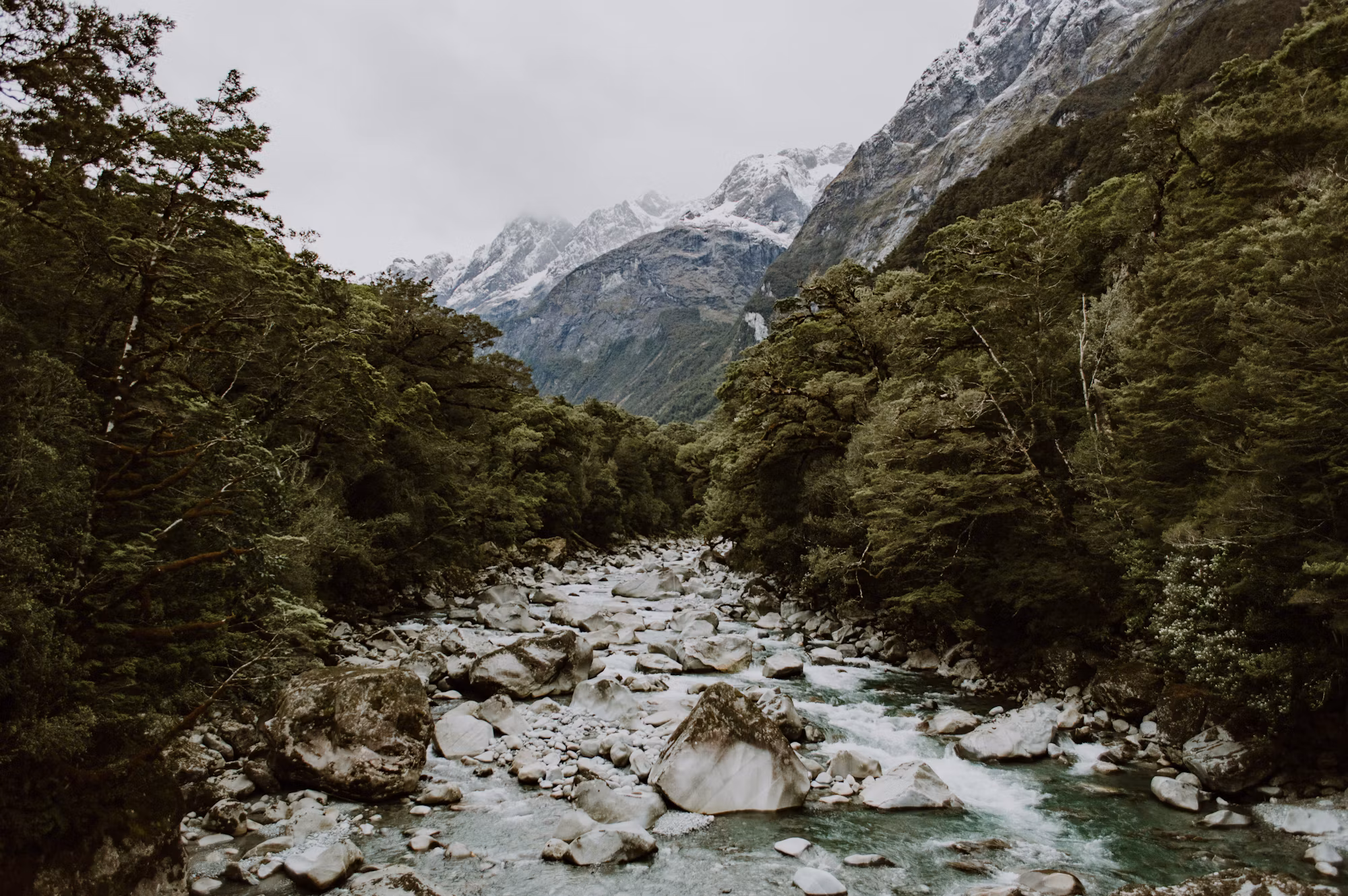 Navigating the Trails: A Comprehensive Look at Different Hiking Experiences